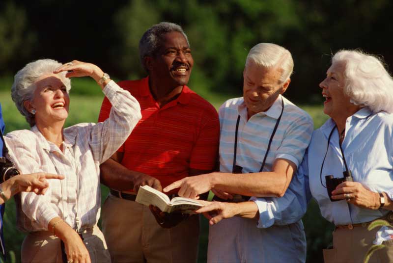 Healthy Aging