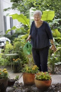 lady watering plant