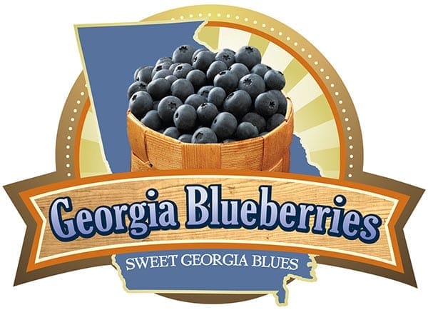 georgia blueberries