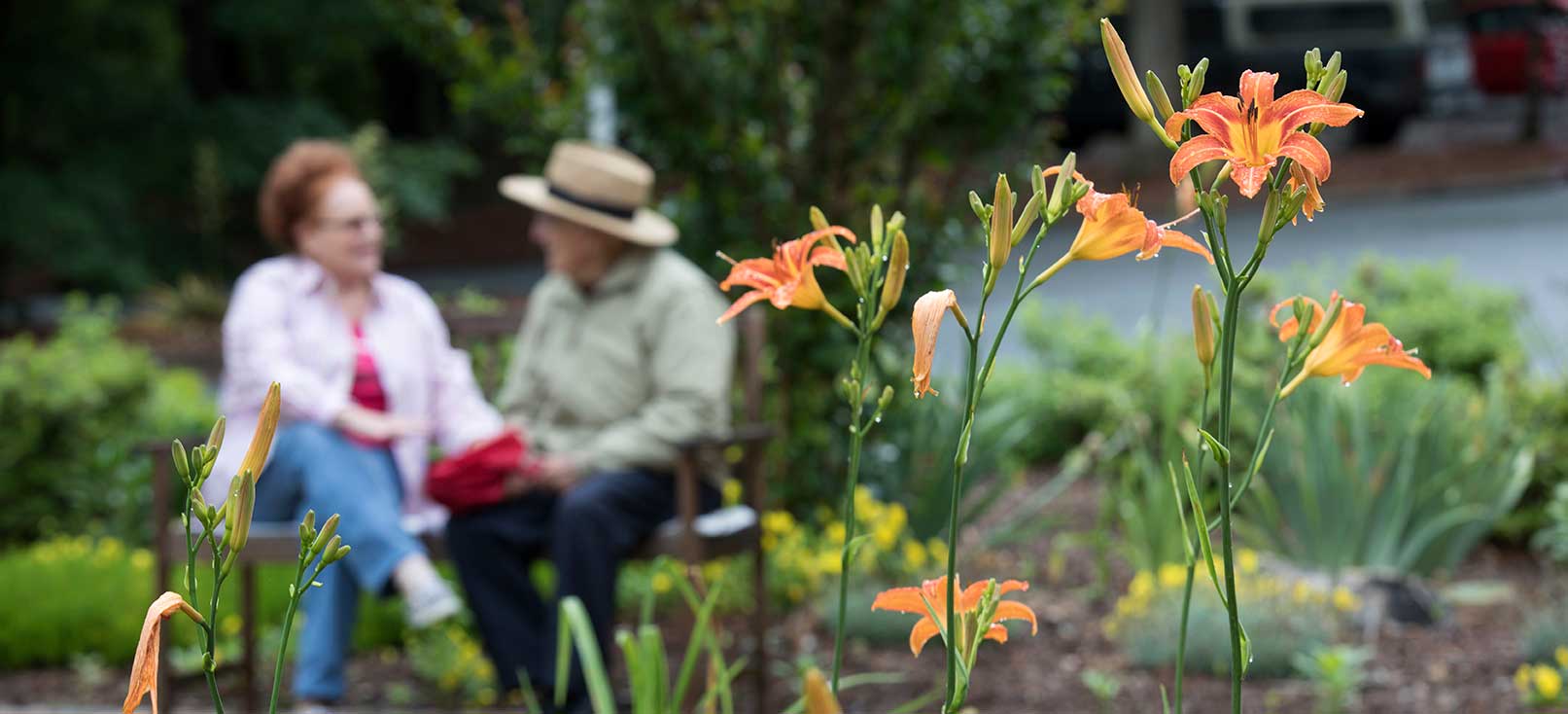 About Simpson Estates at Wesley Mountain Village Wesley Woods