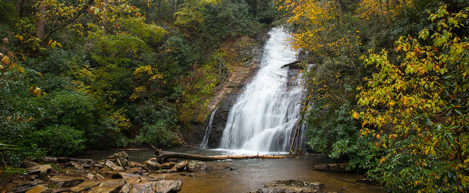 Simpson Estates Location Wesley Woods Senior Living
