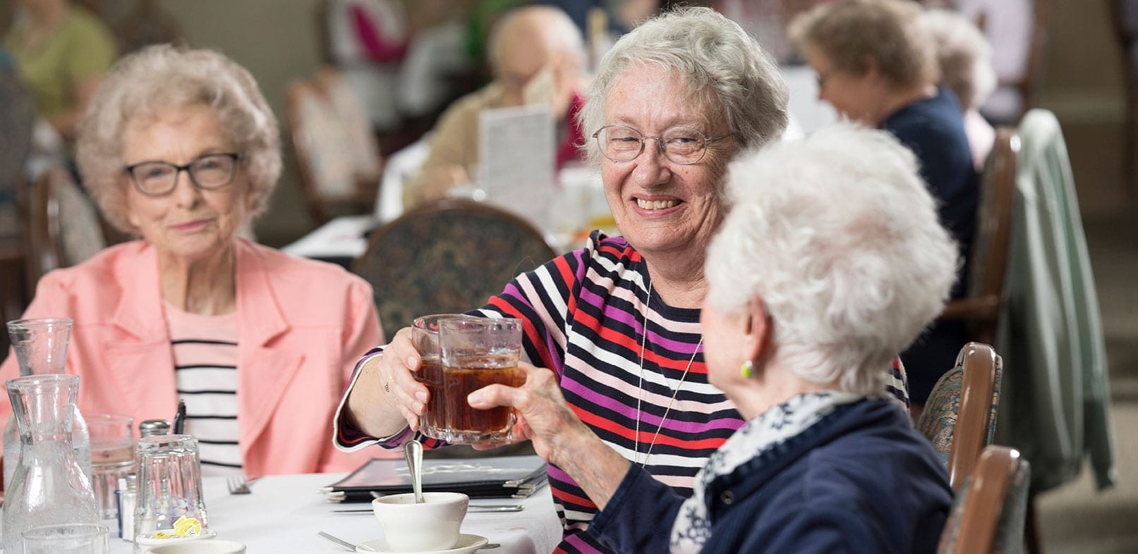 about talmage terrace