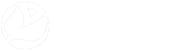 Foundation - Wesley Woods
